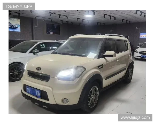 1.6T+6AT的全新秀尔能够翻身吗？