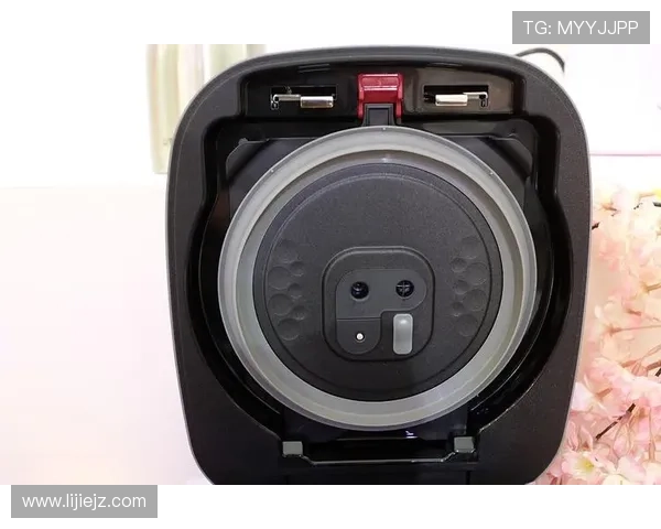 100℃热风：TIGER 虎牌 推出新款餐具烘干机 DHG-S400